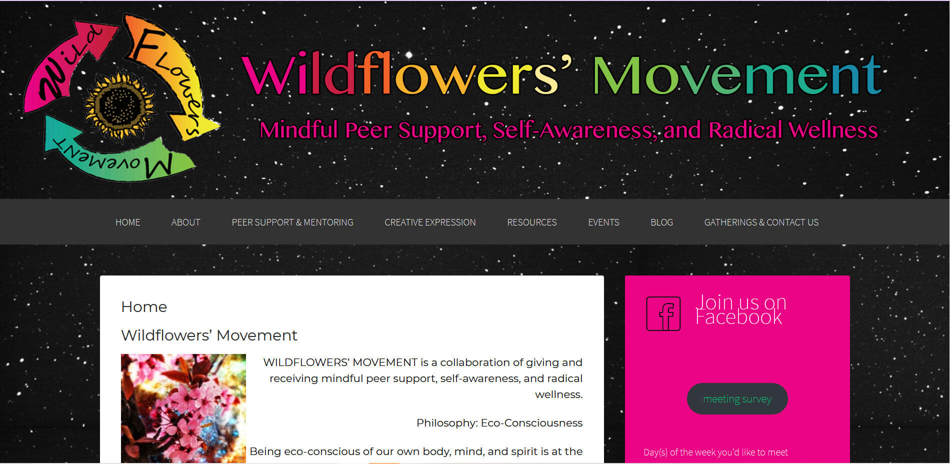 Wordpress site created in 2014, redesigned in December 2014 (Currently a carrd site)