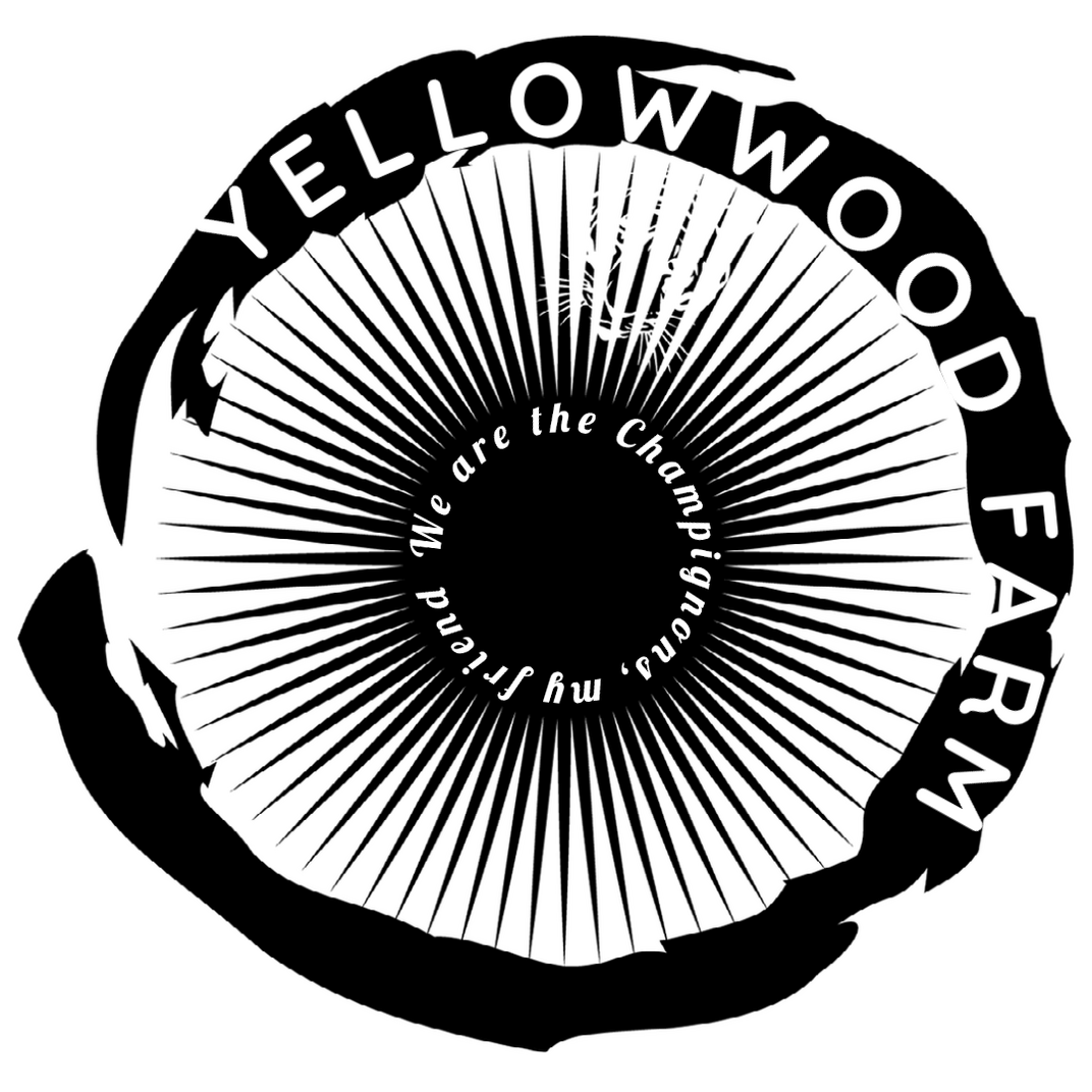 Yellowwood Farm